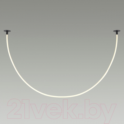 Потолочный светильник Odeon Light Corda 4391/40CL