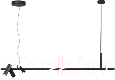 Потолочный светильник Odeon Light Corda 4391/30L - фото