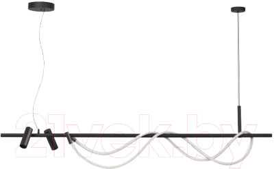 Потолочный светильник Odeon Light Corda 4391/40L - фото