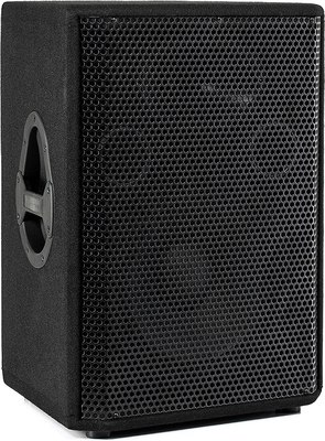 Сценический монитор PS Sound WPS-EVP15 - фото