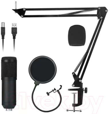 Микрофон PS Sound STM-101USB