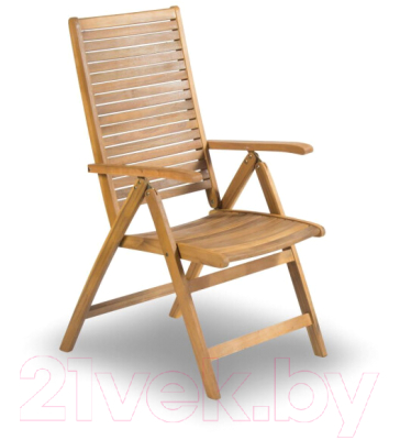 Кресло складное Fieldmann FDZN 4101-T