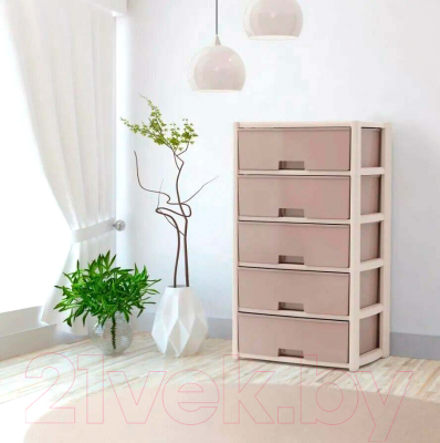 Комод пластиковый Альтернатива Колорит / М8760
