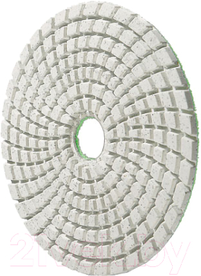Шлифовальный круг Sturm! 9012-W100-30 - фото