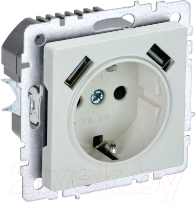 Розетка IEK Brite BR-R14-16-U21-D21-K36 - фото