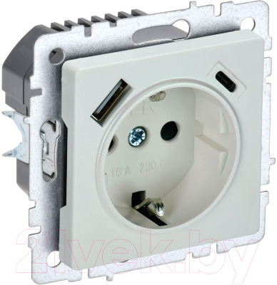 Розетка IEK Brite BR-R14-16-U22-018-K36 - фото