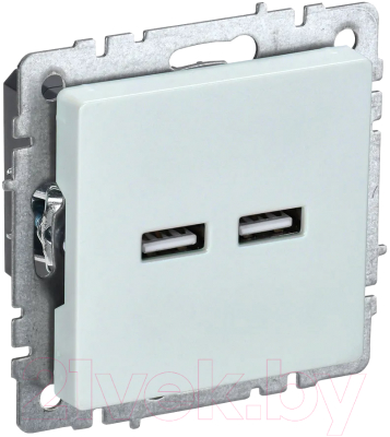 Розетка IEK Brite BR-U21-D31-K36 - фото