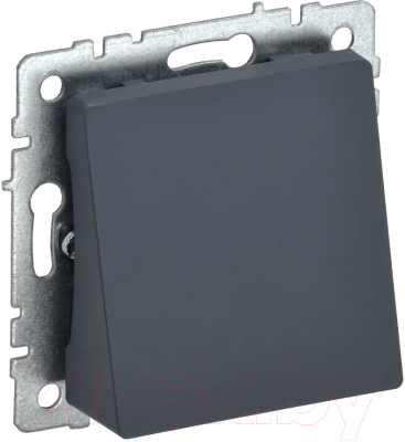 Вывод кабеля IEK Brite BR-VK10-0-K53 - фото