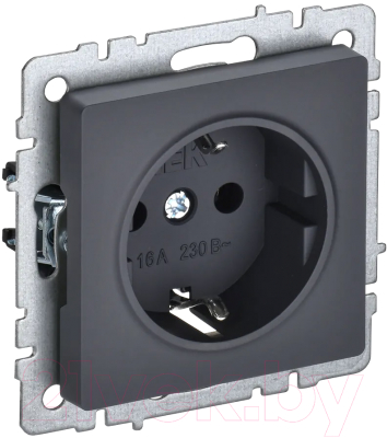 Розетка IEK Brite BR-R11-16-K53 - фото