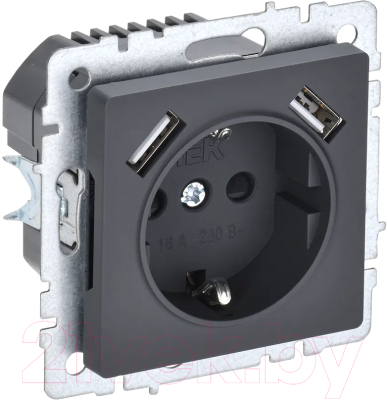 Розетка IEK Brite BR-R14-16-U21-D31-K53 - фото