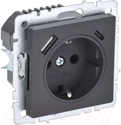 Розетка IEK Brite BR-R14-16-U22-018-K53 - фото