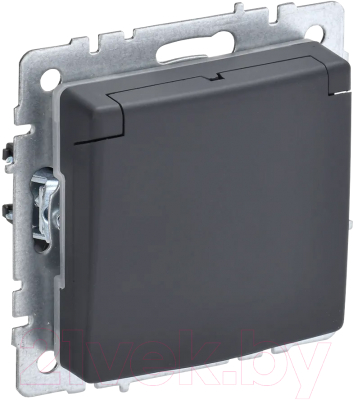 Розетка IEK Brite BR-R16-16-K53 - фото