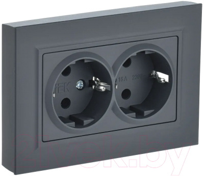 Розетка IEK Brite BR-R21-16-K53-F - фото