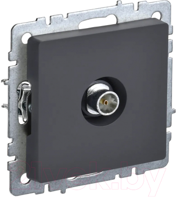 Розетка IEK Brite BR-A10-O-K53 - фото