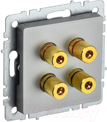 Розетка IEK Brite BR-S40-K46 - фото