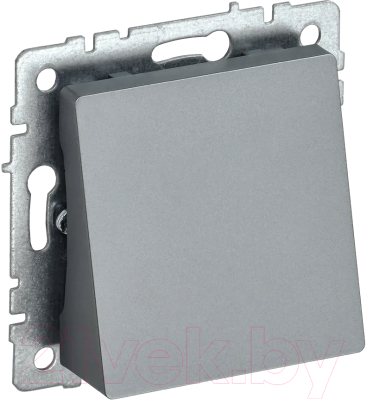 Вывод кабеля IEK Brite BR-VK10-0-K46 - фото