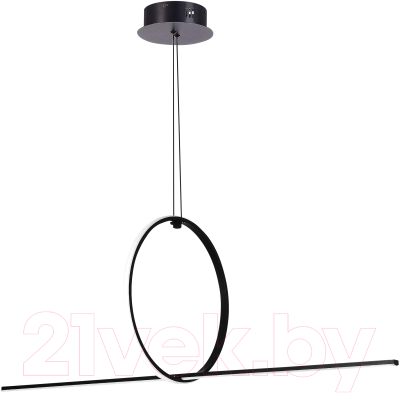 Потолочный светильник ST Luce SL6113.413.01 - фото