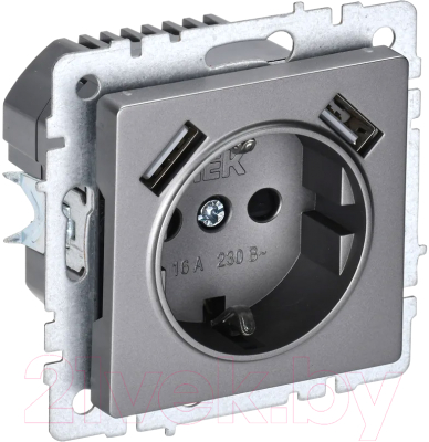 Розетка IEK Brite BR-R14-16-U21-D21-K46 - фото