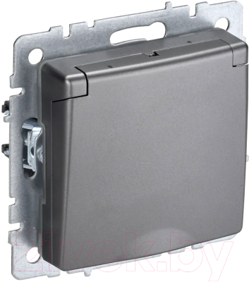 Розетка IEK Brite BR-R16-16-K46 - фото