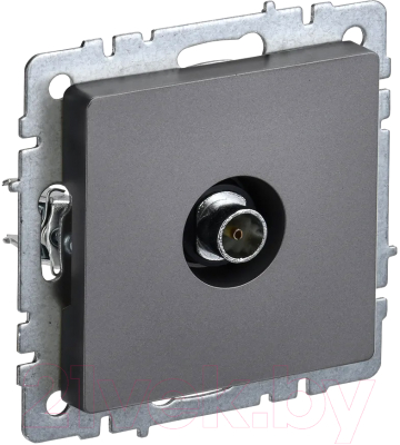 Розетка IEK Brite BR-A10-O-K46 - фото