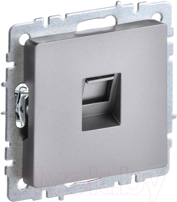 Розетка IEK Brite BR-K10-1-K46 - фото