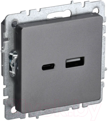 Розетка IEK Brite BR-U22-018-K46 - фото