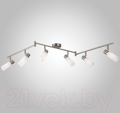 Люстра Евросвет Madison 20043/6 (сатин/никель) - фото