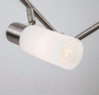 Люстра Евросвет Madison 20043/6 (сатин/никель)