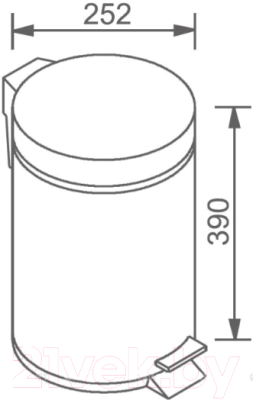 Мусорное ведро Aquanet 8075SS