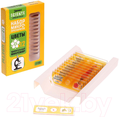 Набор микропрепаратов Эврики Набор микропрепаратов / 7670830 - фото