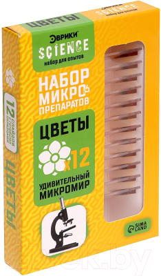 Набор микропрепаратов Эврики Набор микропрепаратов / 7670830