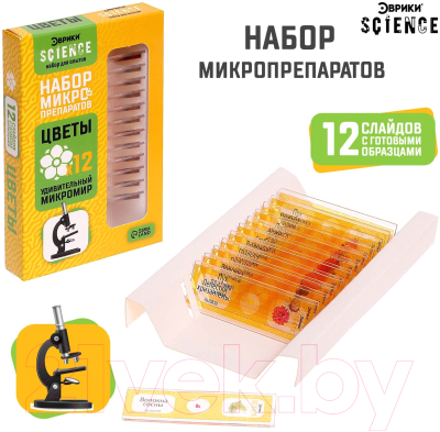 Набор микропрепаратов Эврики Набор микропрепаратов / 7670830