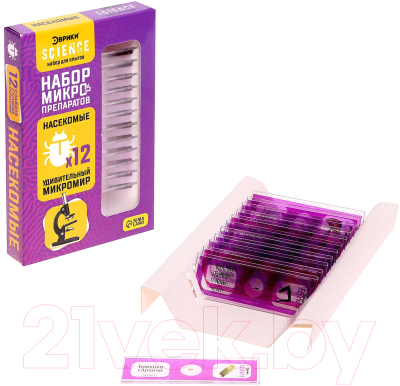 Набор микропрепаратов Эврики Набор микропрепаратов / 7670833 - фото