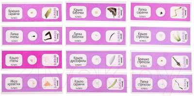 Набор микропрепаратов Эврики Набор микропрепаратов / 7670833