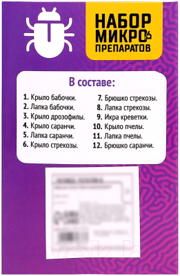 Набор микропрепаратов Эврики Набор микропрепаратов / 7670833