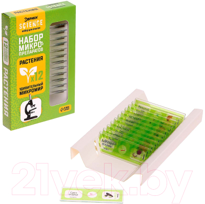 Набор микропрепаратов Эврики Набор микропрепаратов / 7670832 - фото