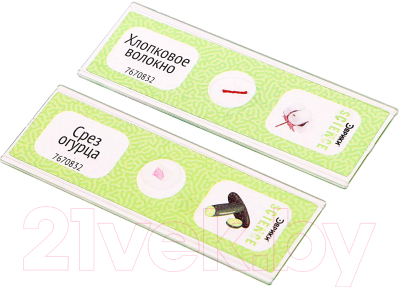 Набор микропрепаратов Эврики Набор микропрепаратов / 7670832