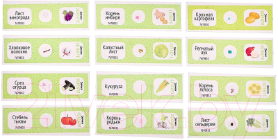 Набор микропрепаратов Эврики Набор микропрепаратов / 7670832