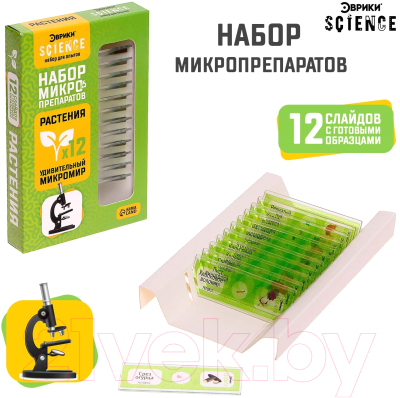 Набор микропрепаратов Эврики Набор микропрепаратов / 7670832