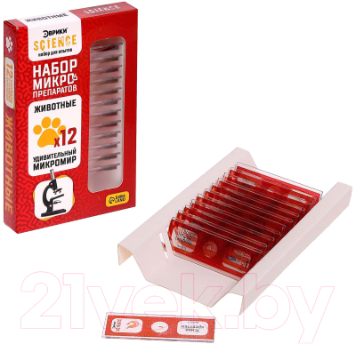 Набор микропрепаратов Эврики Набор микропрепаратов / 7670831 - фото