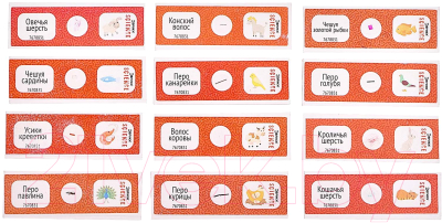 Набор микропрепаратов Эврики Набор микропрепаратов / 7670831