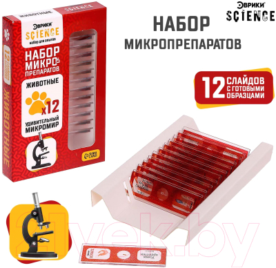 Набор микропрепаратов Эврики Набор микропрепаратов / 7670831