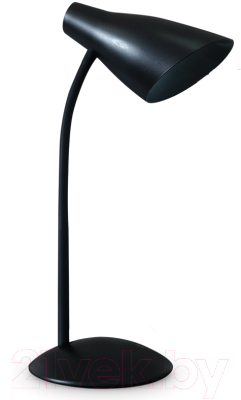 Настольная лампа INhome ССО 19Ч 8Вт 480Лм / 4690612041094 (черный) - фото