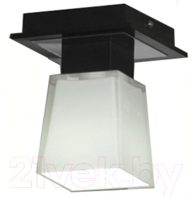 Потолочный светильник Lussole Lente LSC-2507-01 - фото