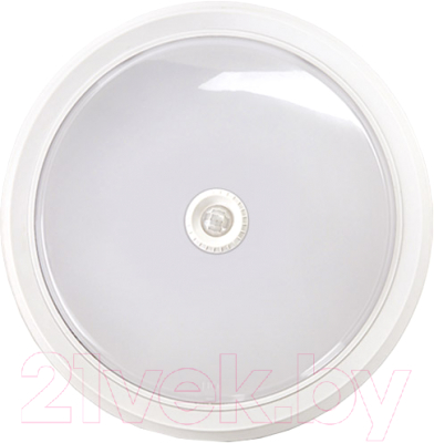 Светильник линейный INhome СПБ-2Д-Круг / 4690612020716 - фото