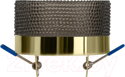 Точечный светильник ЭРА DK97 GD/BK / Б0057460