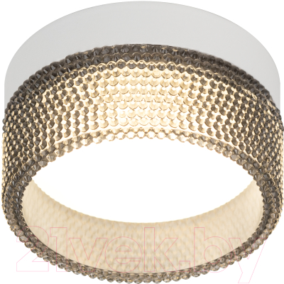 Точечный светильник ЭРА DK97 WH/BK / Б0057457 - фото