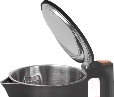 Электрочайник Evolution KP15151B (черный)