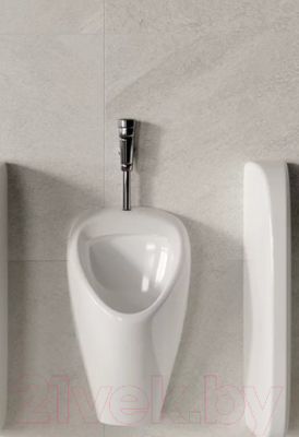 Писсуар Sanita Long LNGSLUR01