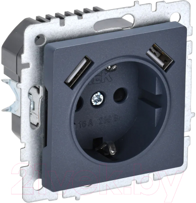 Розетка IEK Brite BR-R14-16-U21-D21-K35 - фото